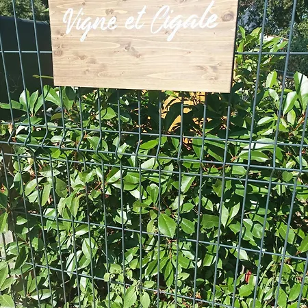Vigne Et Cigale Apartment